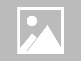 走入开云体育跨界格斗专栏：MMA赛场上的踢拳与巴西柔术交融，谁能笑到最后？